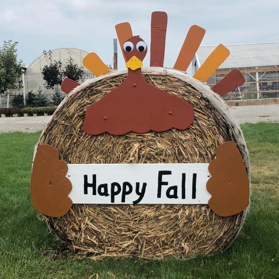 Family Pass - Up to 5 people!