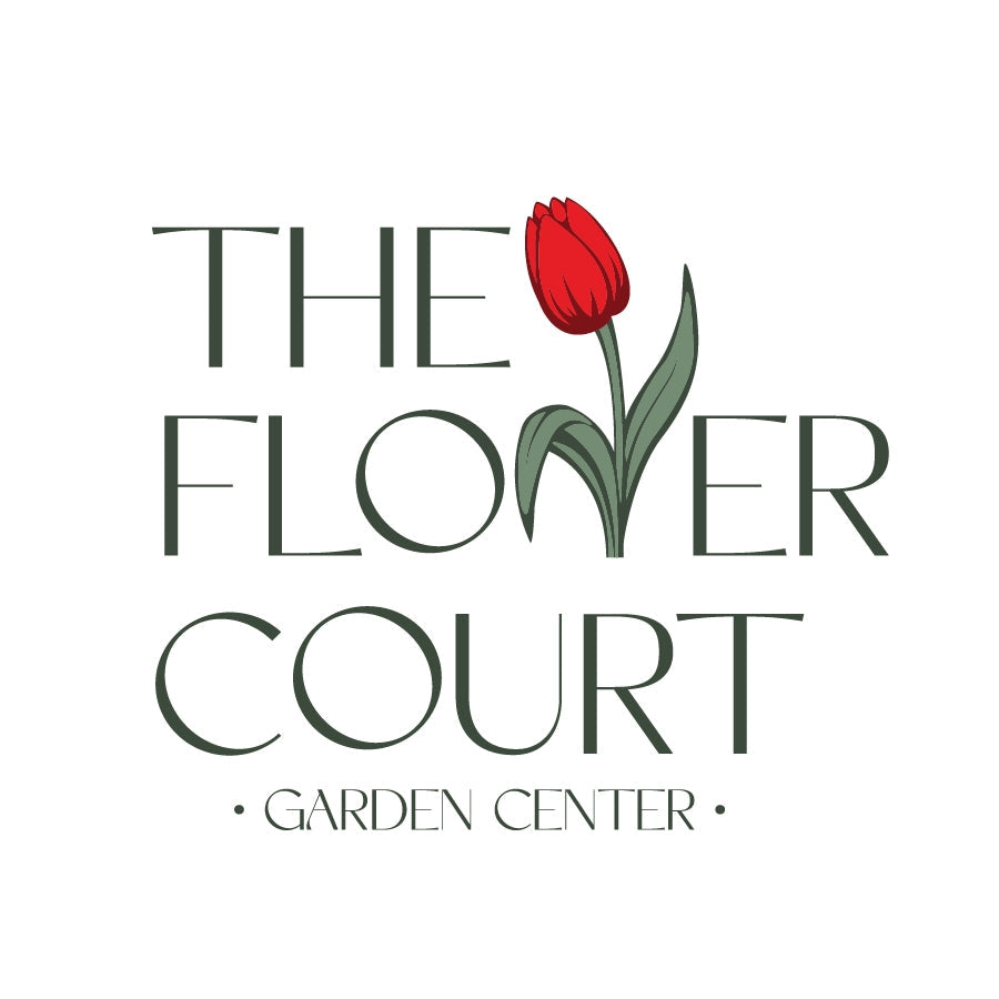 $25 Gift Certificate