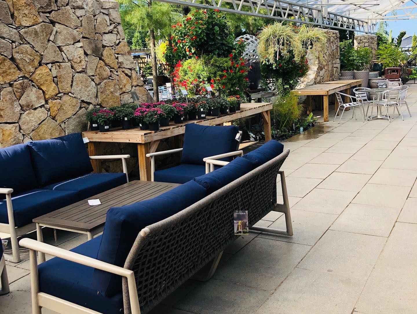 $75 Gift Certificate - Trees or Shrubs