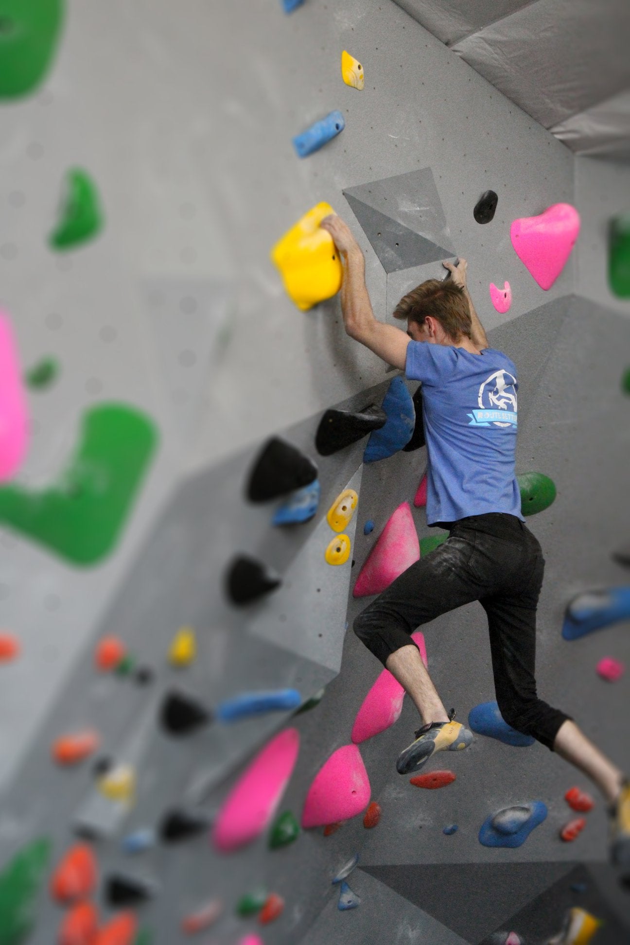 4 Visit Package + Harness/Shoe Rental