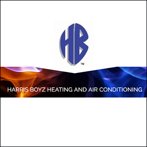 Whole House Air Purifier
