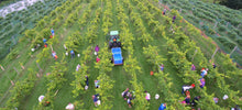 Load image into Gallery viewer, Tour &amp; Wine Tasting for 4 People
