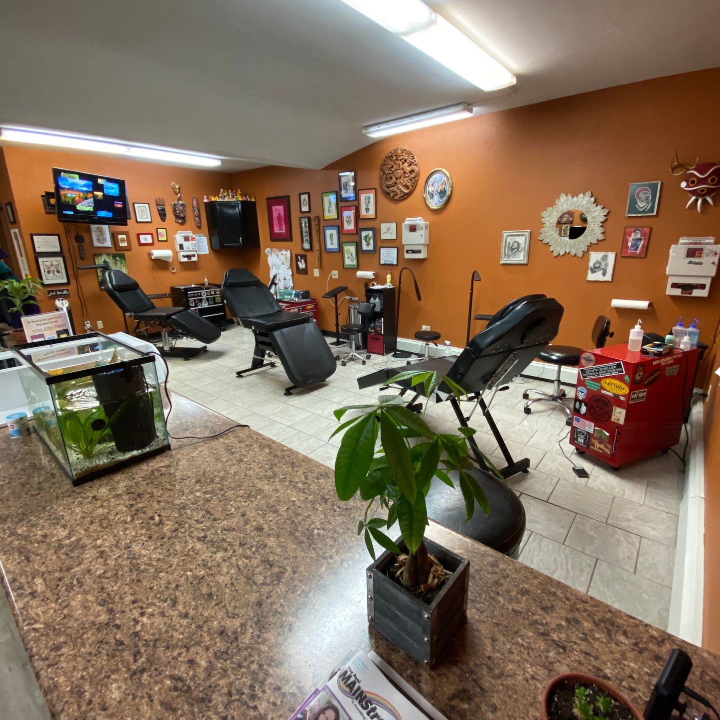 Velvet Lotus Tattoo Certificates