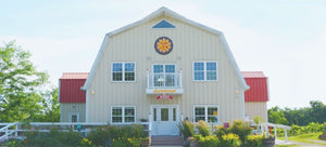 Tour & Wine Tasting for 4 People